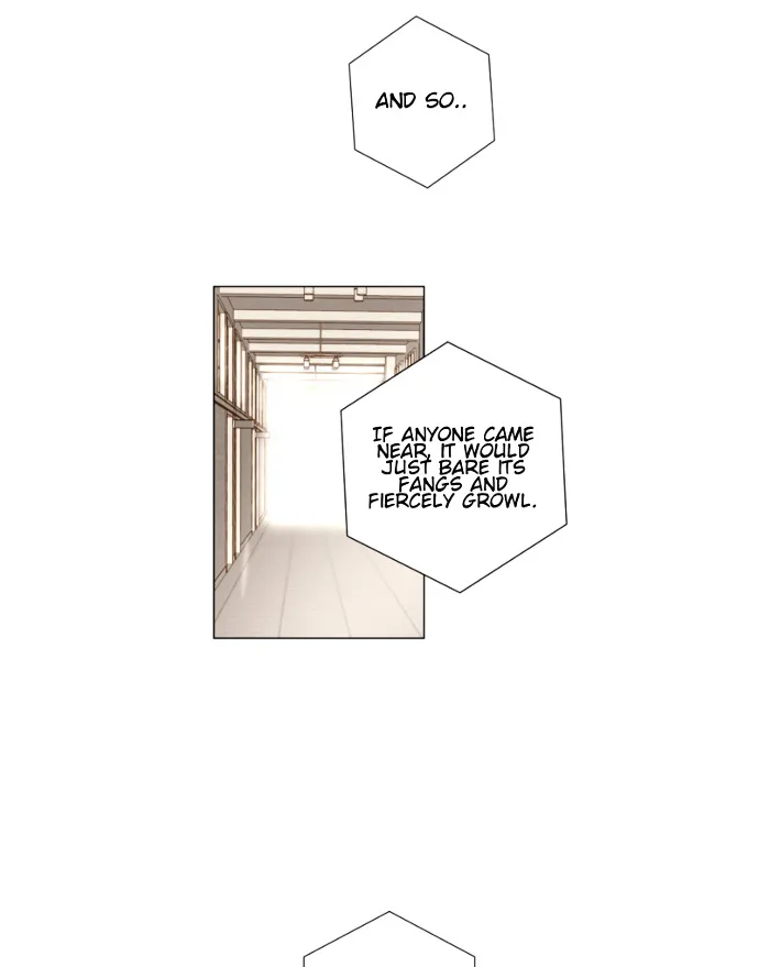 That Summer (Kim Hyun) Chapter 86 Page 42