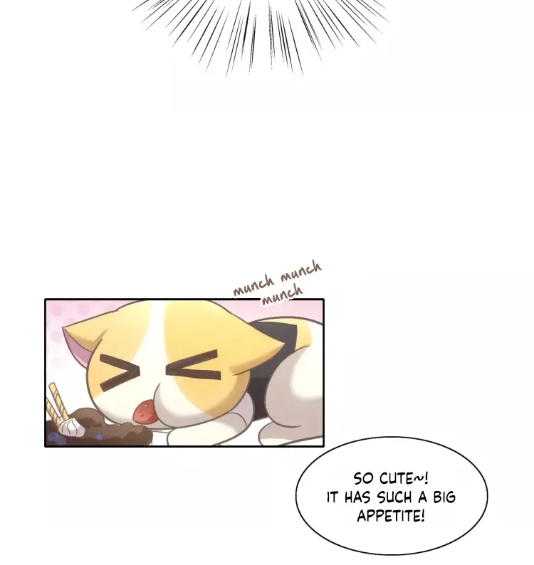 Under the Paws of Cats Chapter 35 Page 13