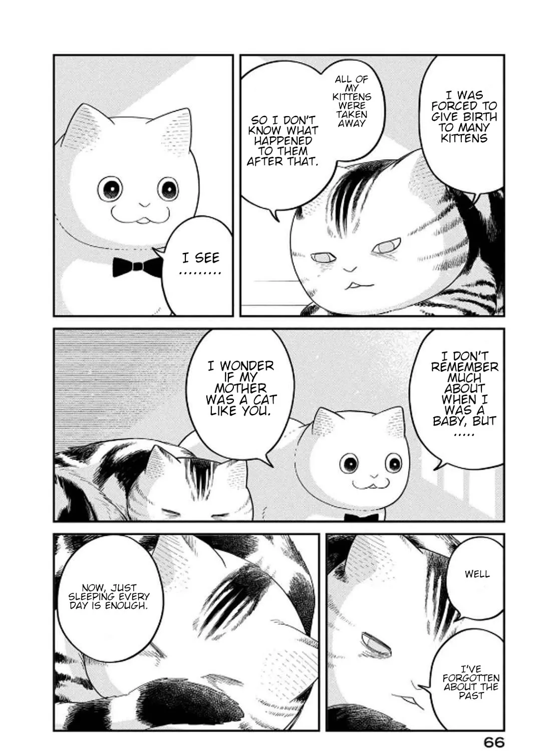 Cat Partners: Maruru And Hachi Chapter 32.1 Page 19