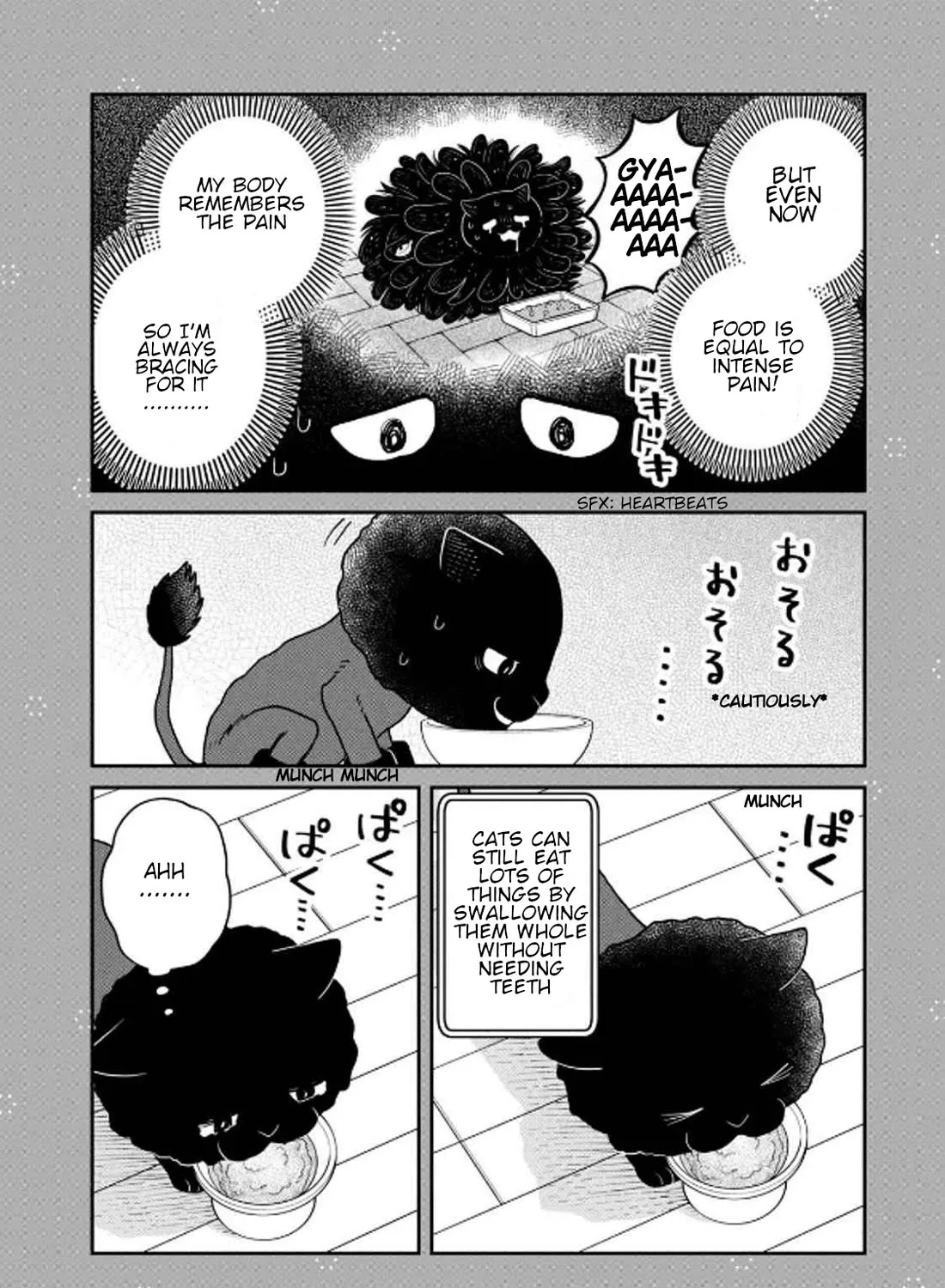 Cat Partners: Maruru And Hachi Chapter 32.1 Page 27