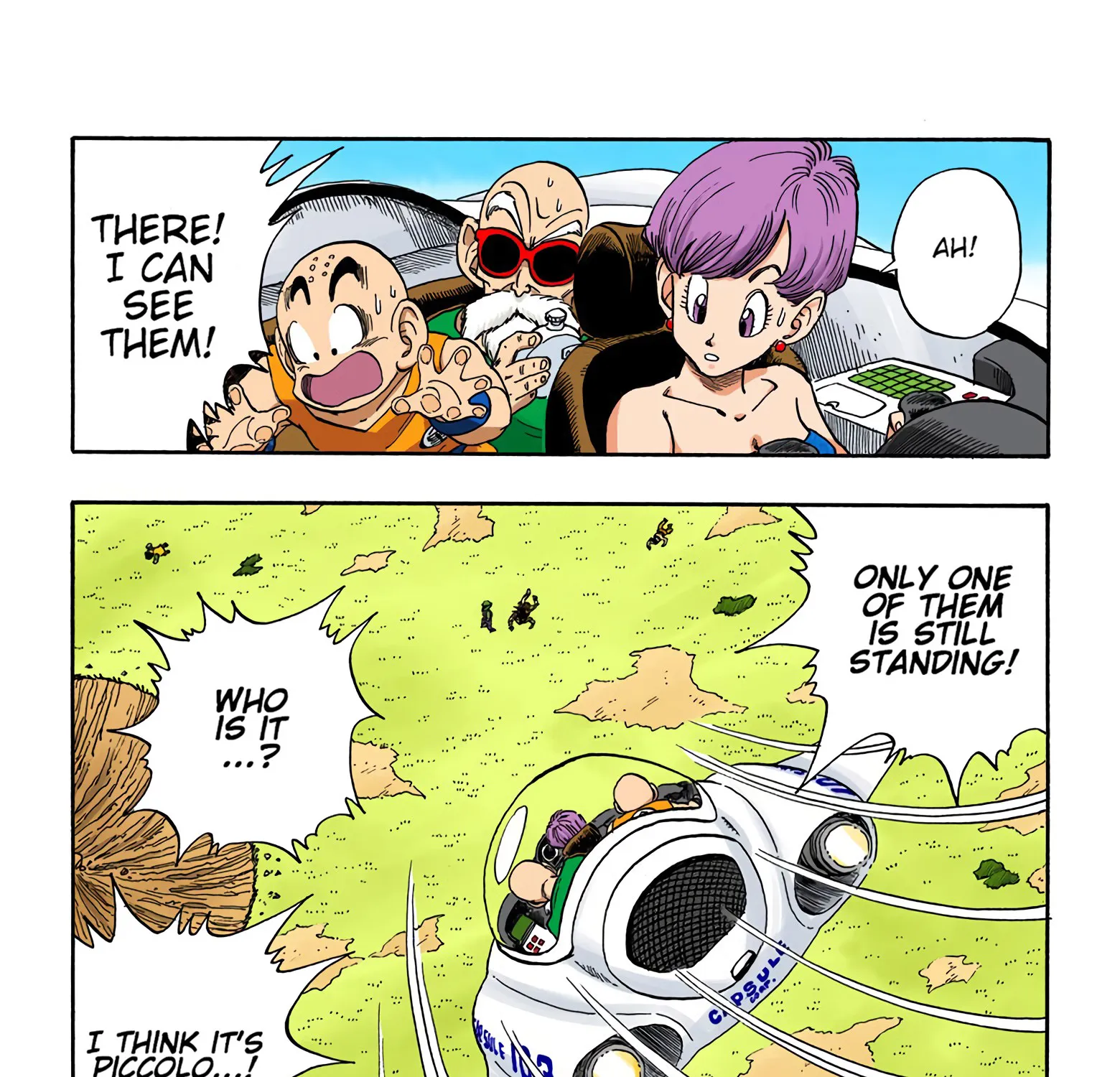 Dragon Ball – Full Color Edition Chapter 204 Page 17