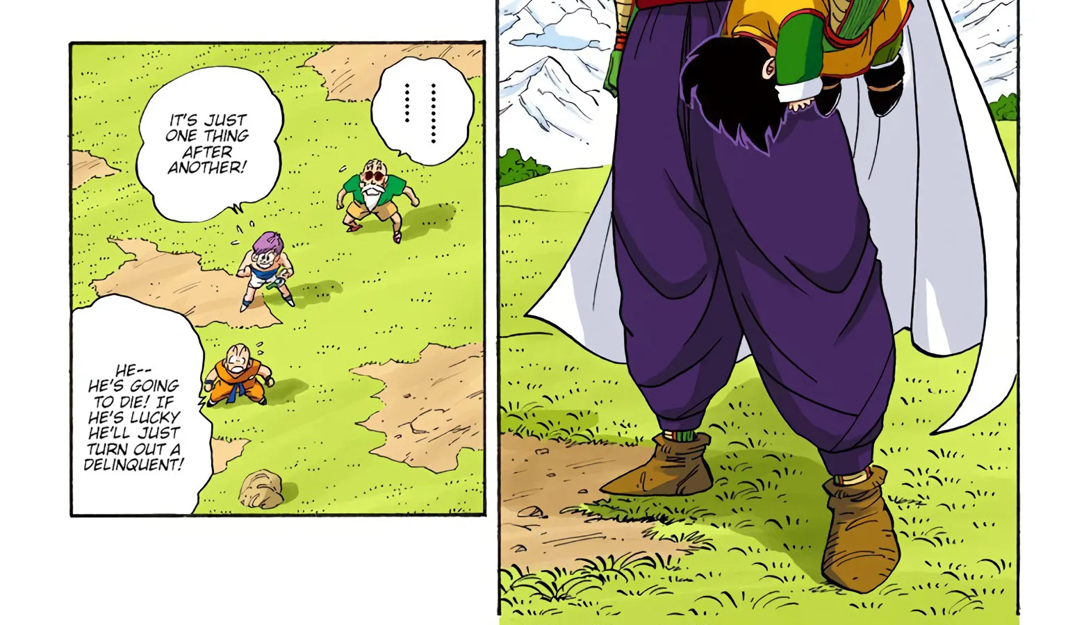 Dragon Ball – Full Color Edition Chapter 205 Page 12