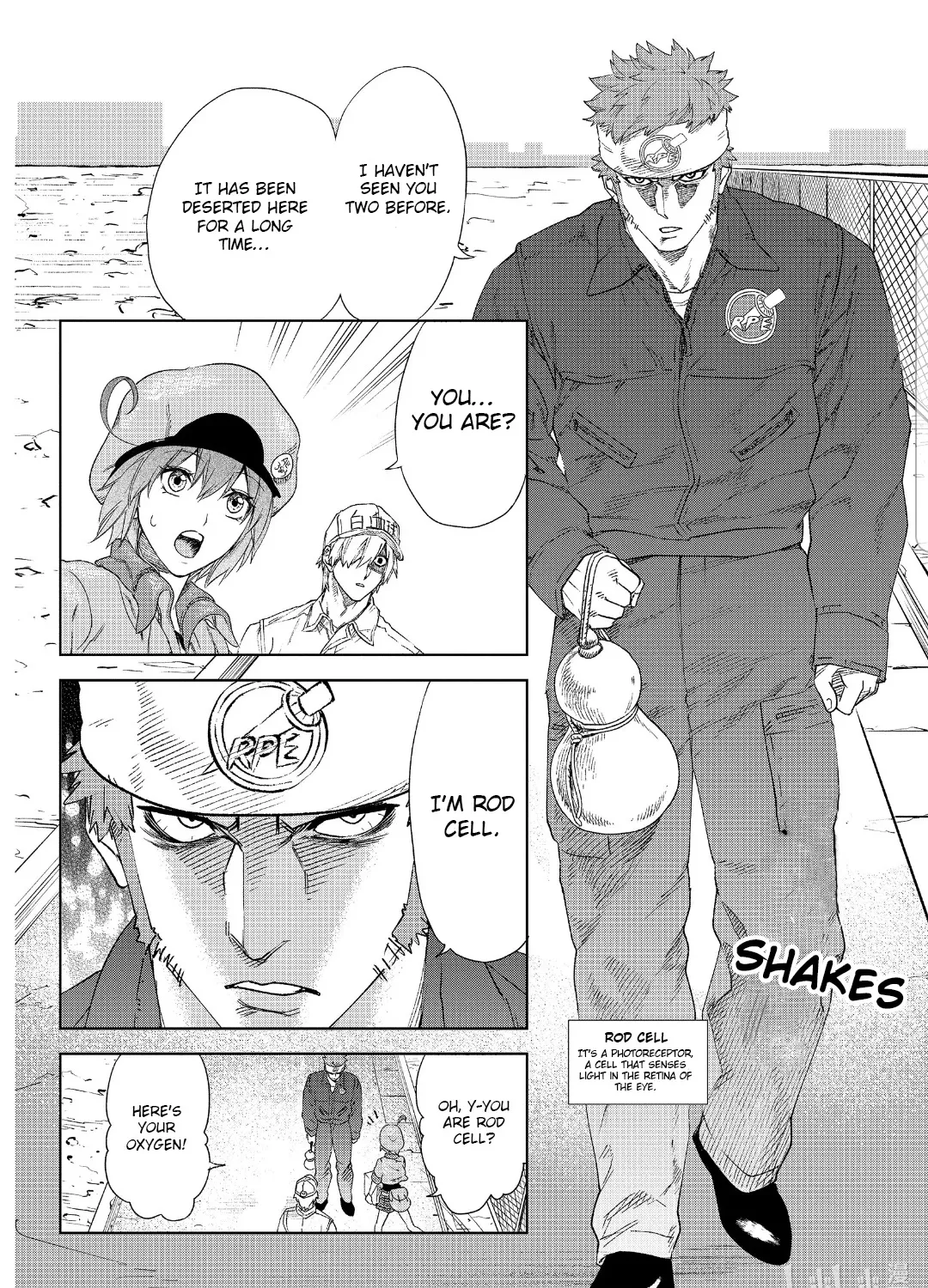 Hataraku Saibou Chapter 28 Page 14