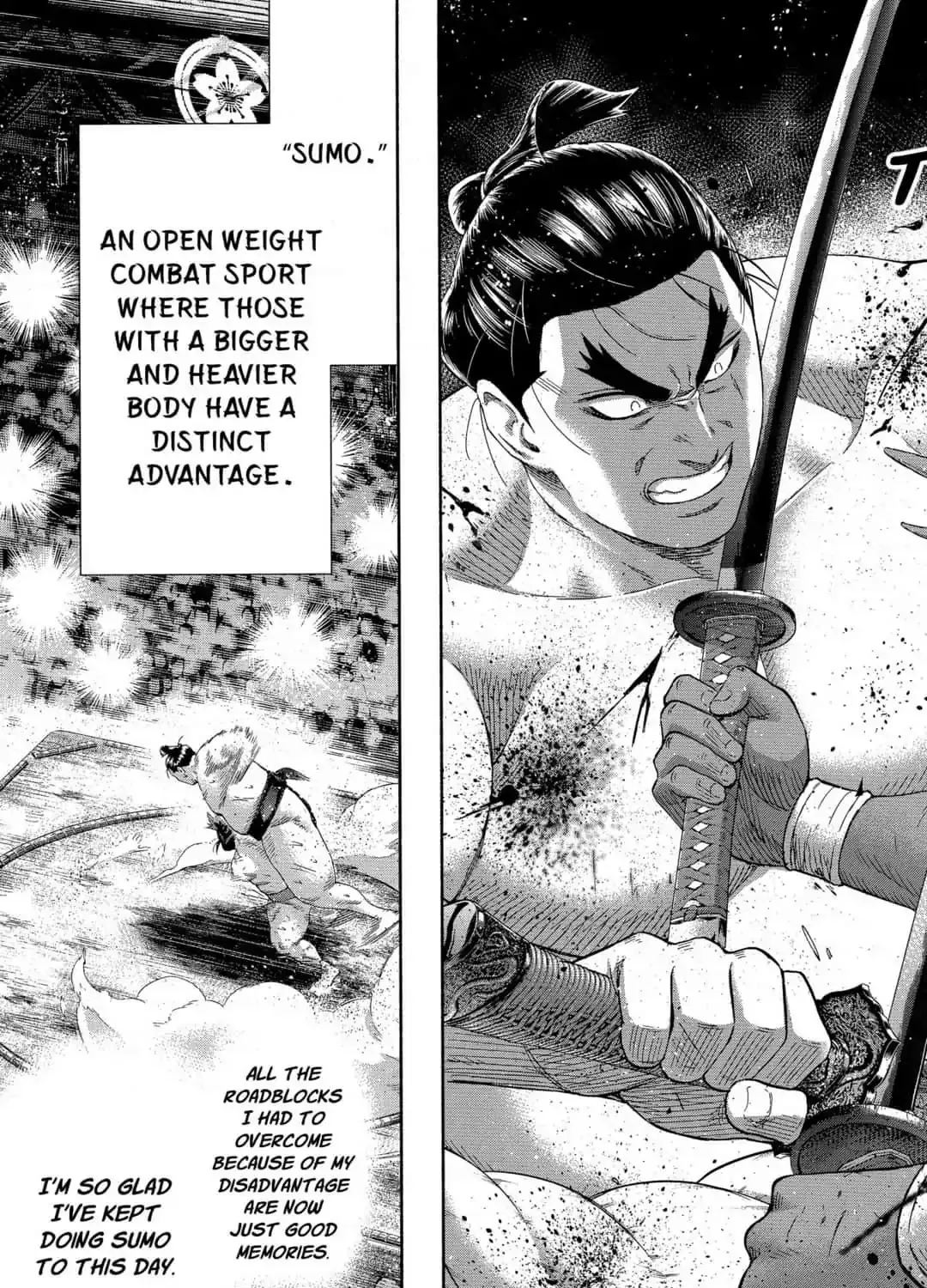 Hinomaru Zumou Chapter 250 Page 13