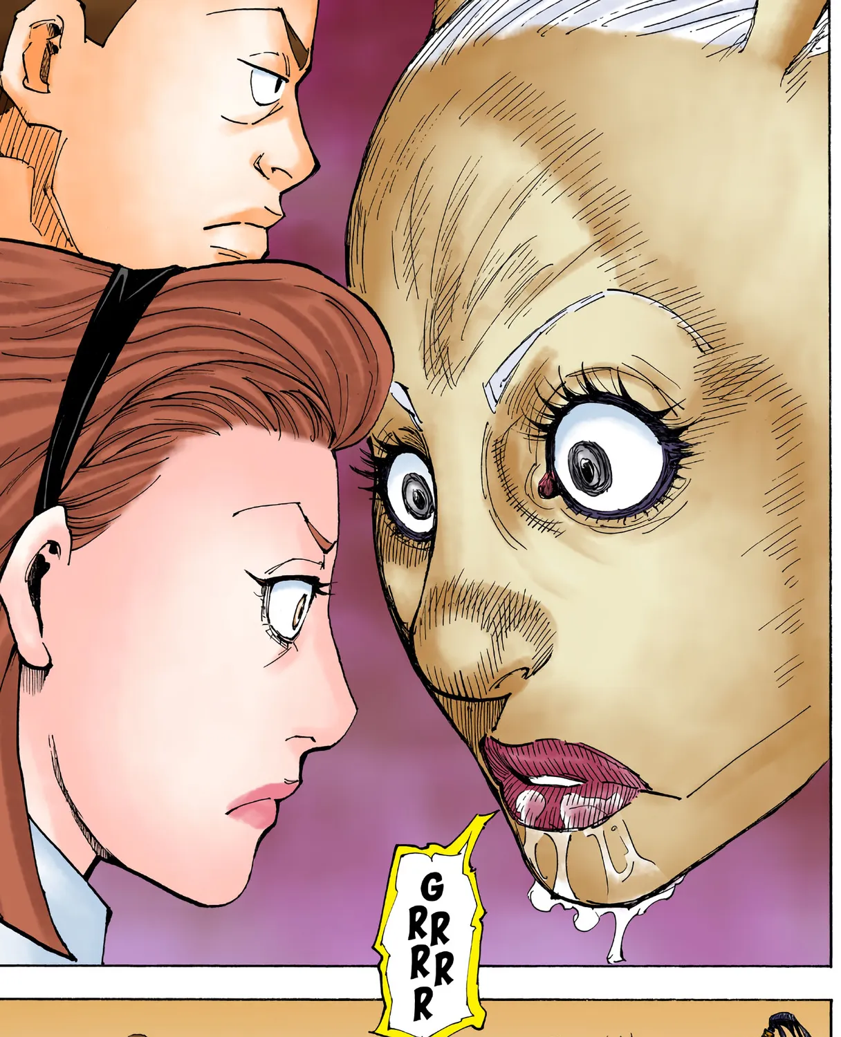 Hunter X Hunter Full Color Chapter 362 Page 33