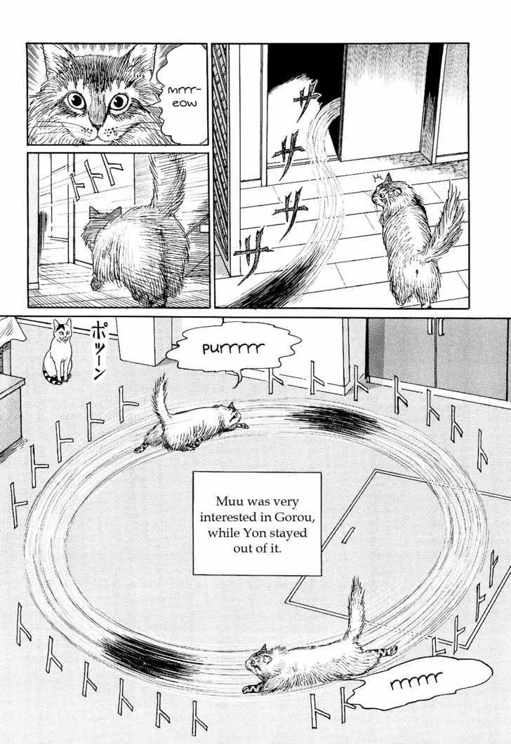 Itou Junji No Neko Nikki: Yon & Mu Chapter 9 Page 10