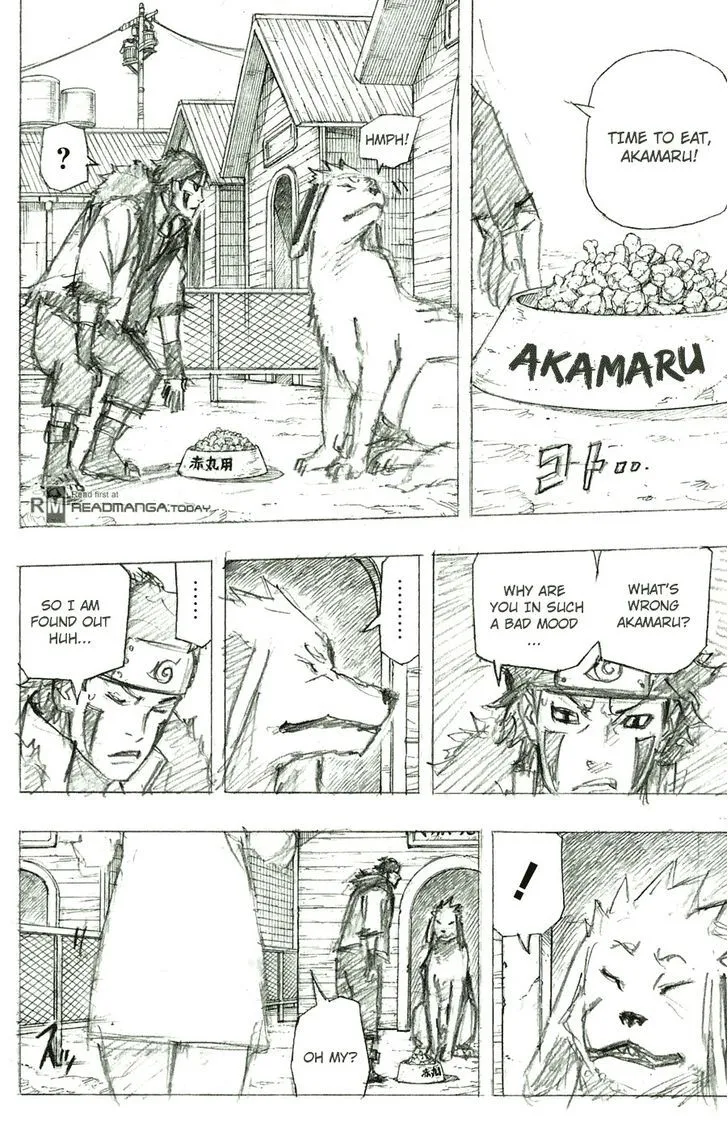 Naruto Chapter 700.1 Page 13