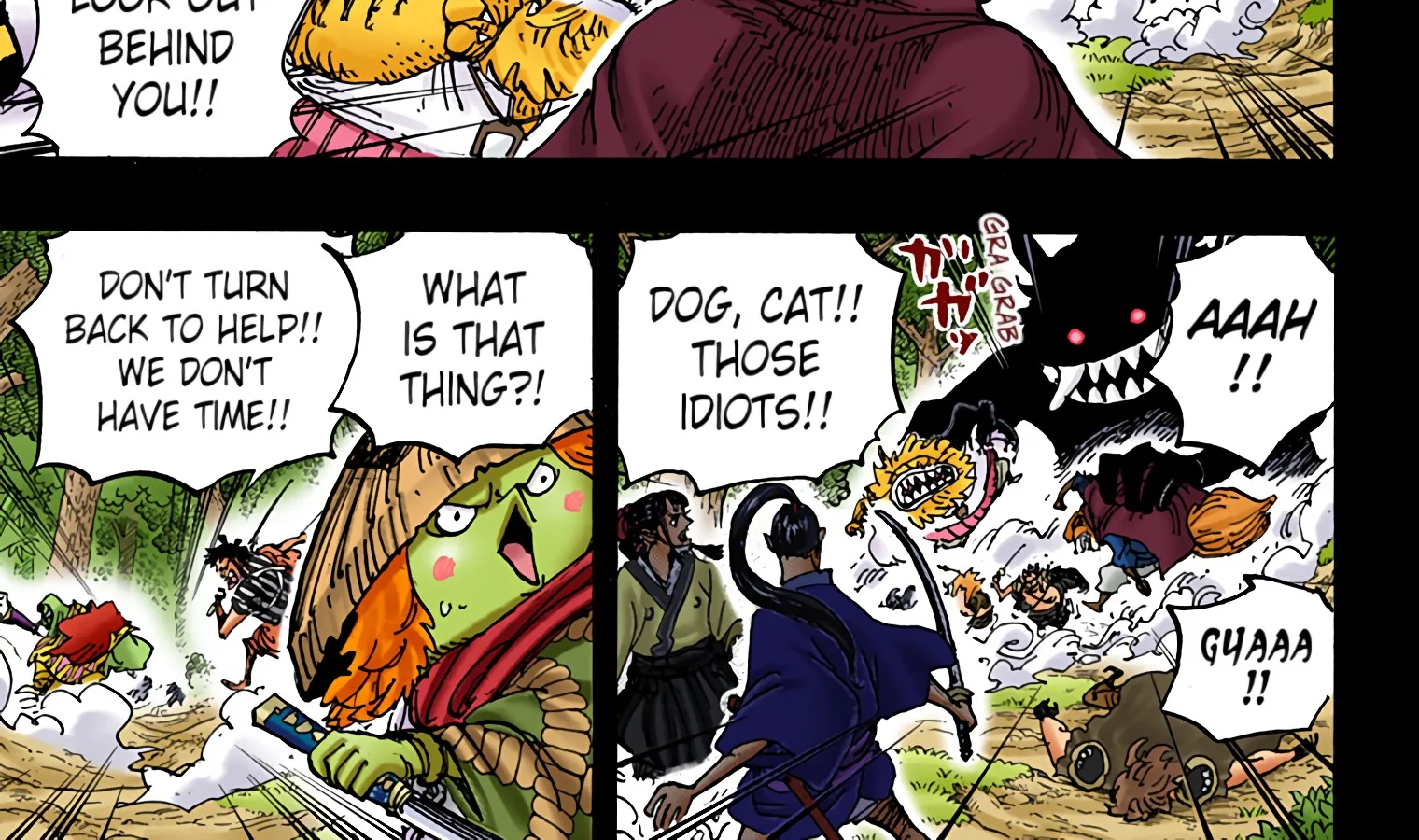 One Piece – Digital Colored Comics Chapter 973 Page 10